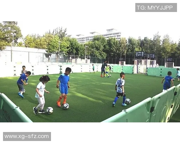 我在阳光下的绿茵场上学会了踢足球的快乐与成长